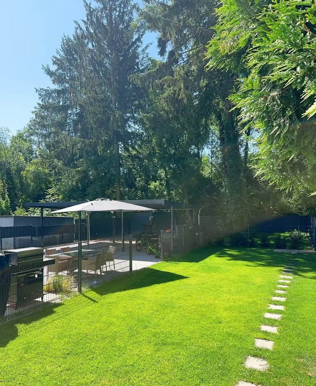 🔥🌿Grass Seeds Hybrid 🎁Keep Your Garden Green Year-Round🌱