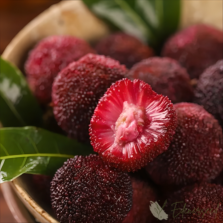 Giant Bayberry: Ping-Pong Ball Size, ⭐Strawberry-Cherry Fusion Flavor