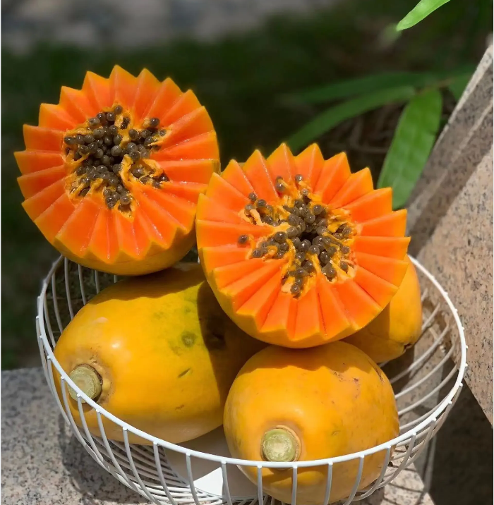 🌱 Papaya Seeds: Your Ultimate Wellness & Beauty Garden Companion! 🌱