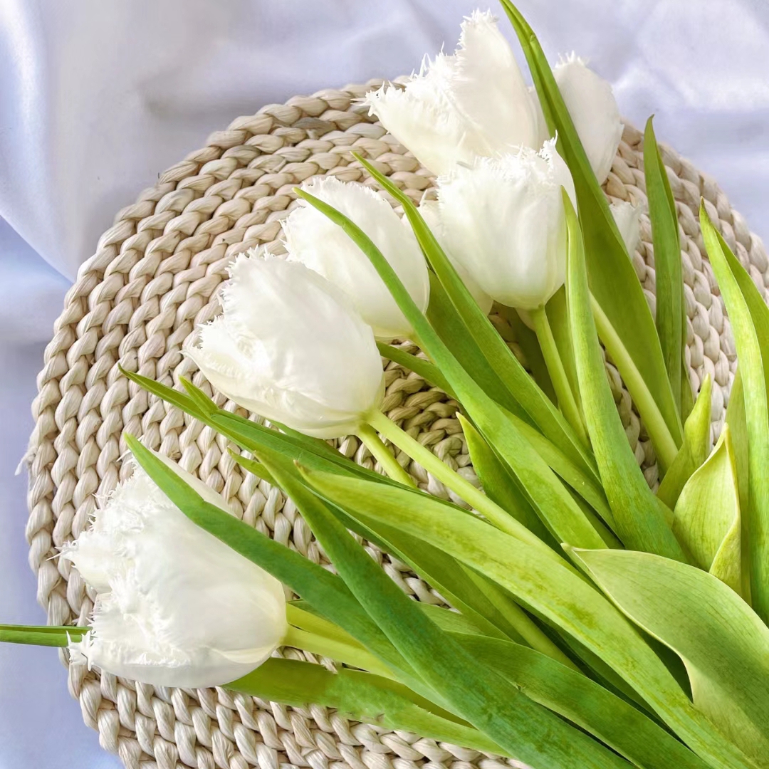 🌟 Rare Fringed Tulip Seeds 🌷✨