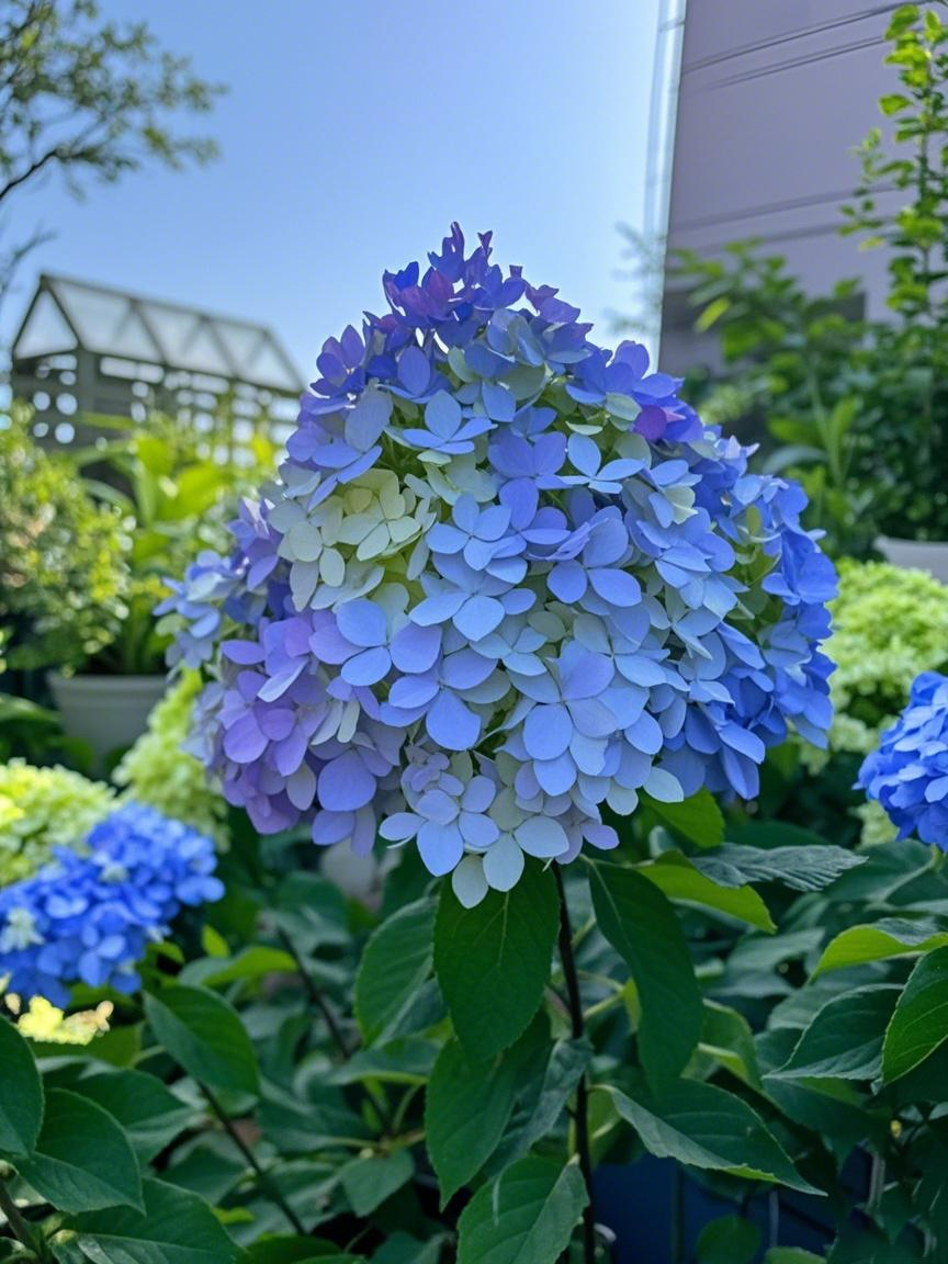 Grow Enchanting Hydrangeas from Seeds! 🌸🌿