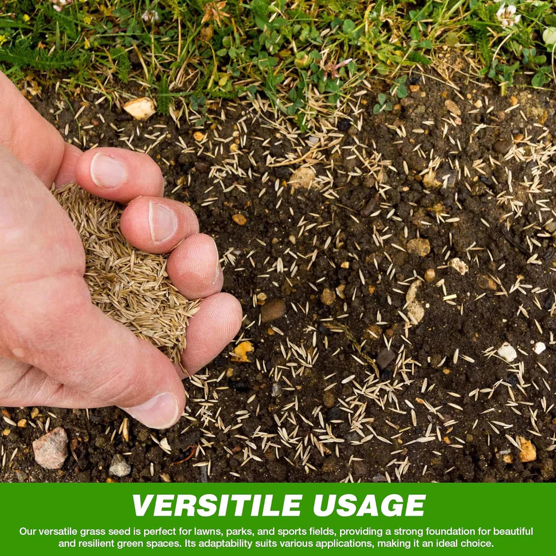 🔥🌿Grass Seeds Hybrid 🎁Best For Your Beautiful Home Gardening 