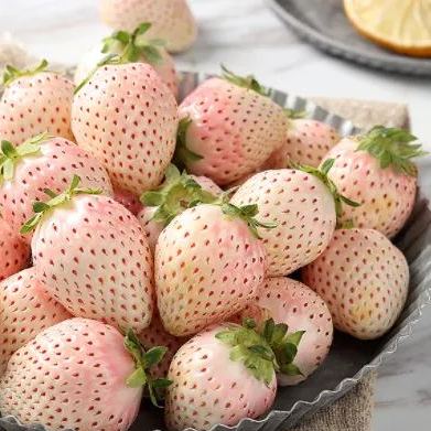 🍓Cream Giant Strawberry Seeds -- Various shapes & Natural juices🥤