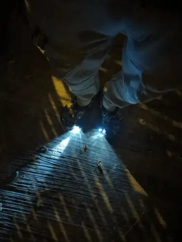 Crocodile Shoes Headlight