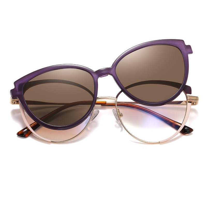 Fiorenza-Optical prescription glasses include magnetically polarized l