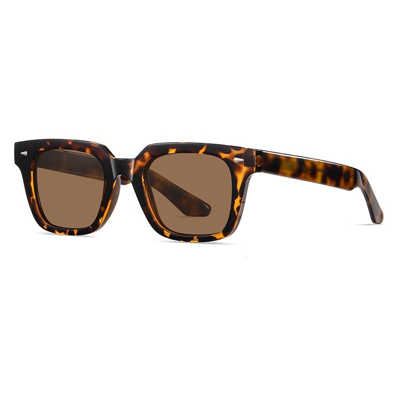 Edana-Fashionable polarized sunglasses