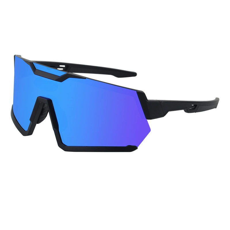 Harry-Prescription riding goggles