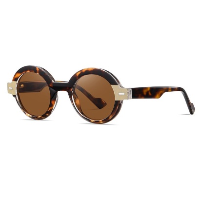 Eilene-Fashionable polarized sunglasses