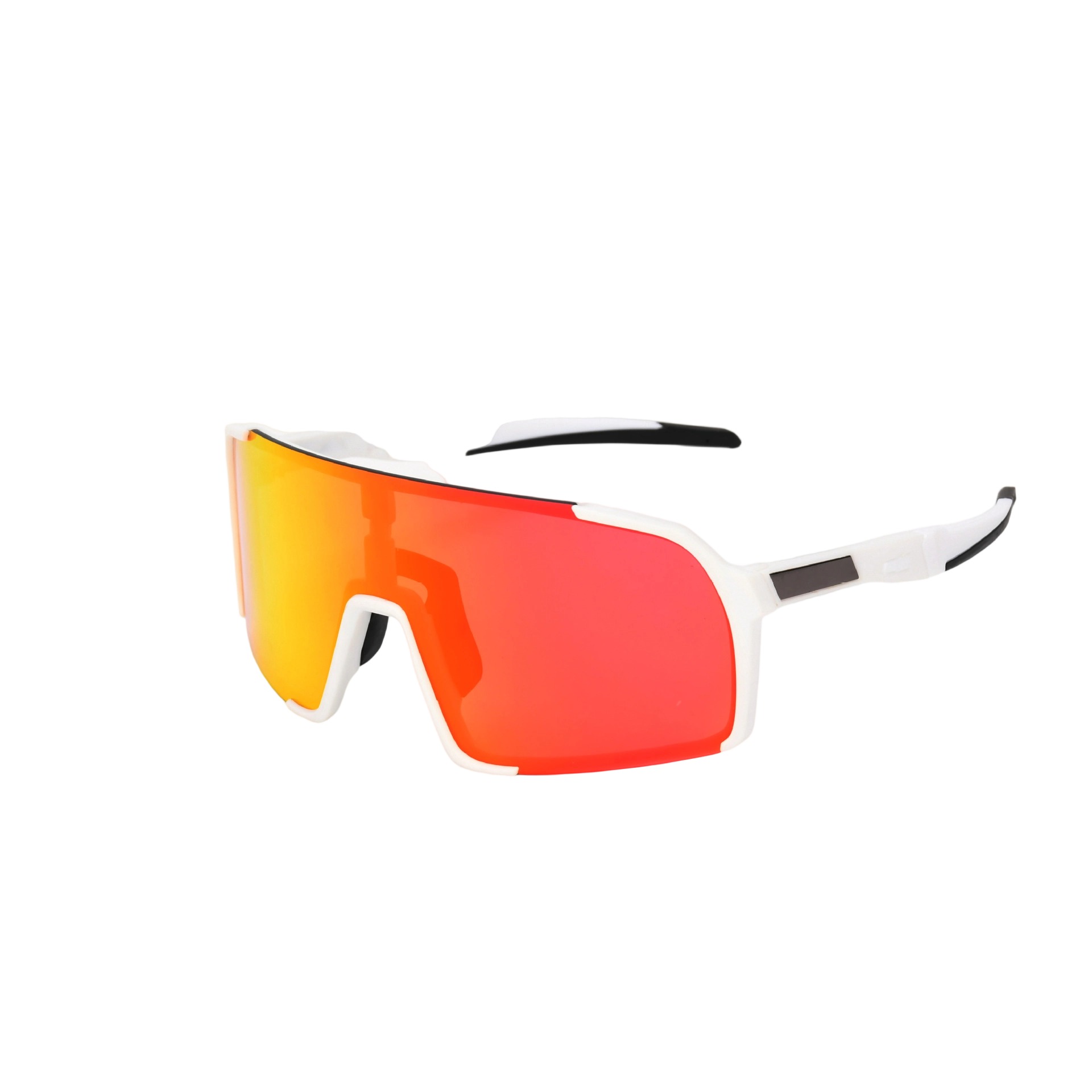 Herbert-Prescription riding goggles