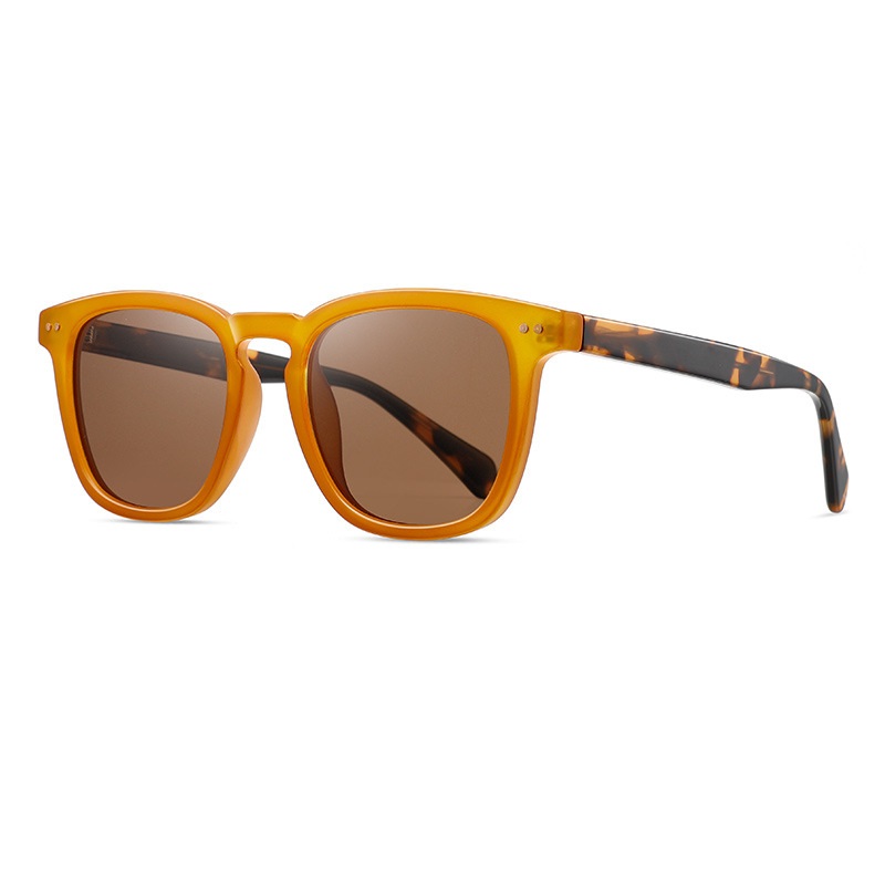 Hasana-Polarized sunglasses