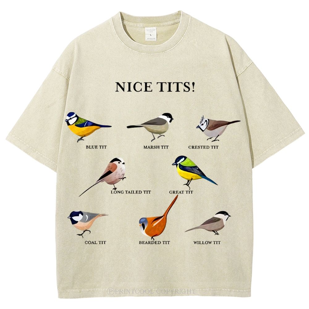 Nice Tits Unisex Vintage Washed Tee