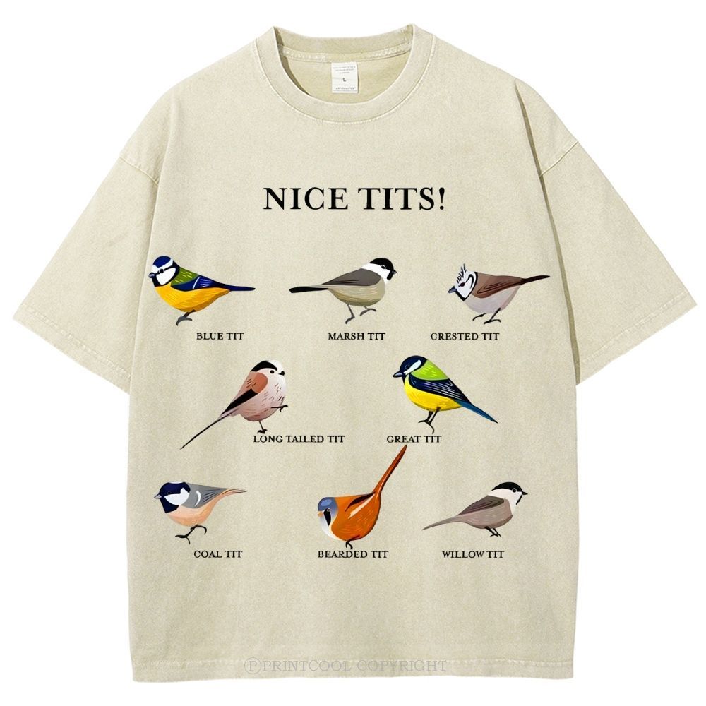 Nice Tits Unisex Vintage Washed Tee
