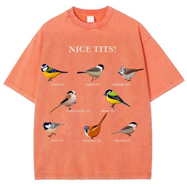 Nice Tits Unisex Vintage Washed Tee