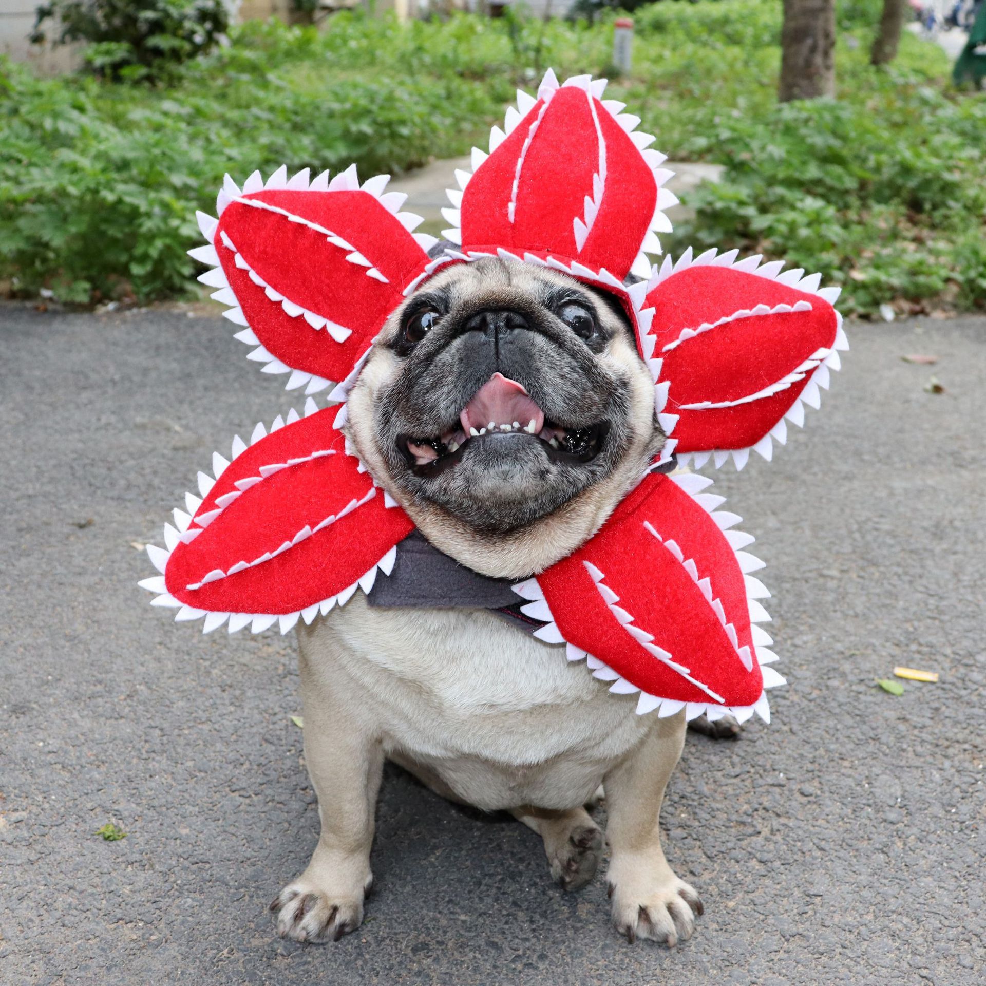 Stranger Things Funny dog and cat Demodog Flower headgear