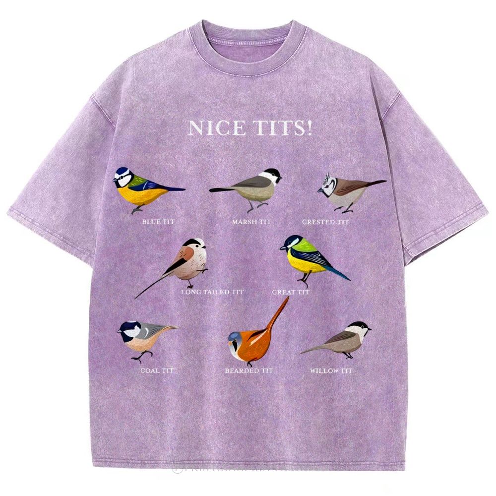 Nice Tits Unisex Vintage Washed Tee