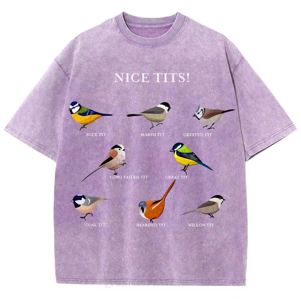 Nice Tits Unisex Vintage Washed Tee