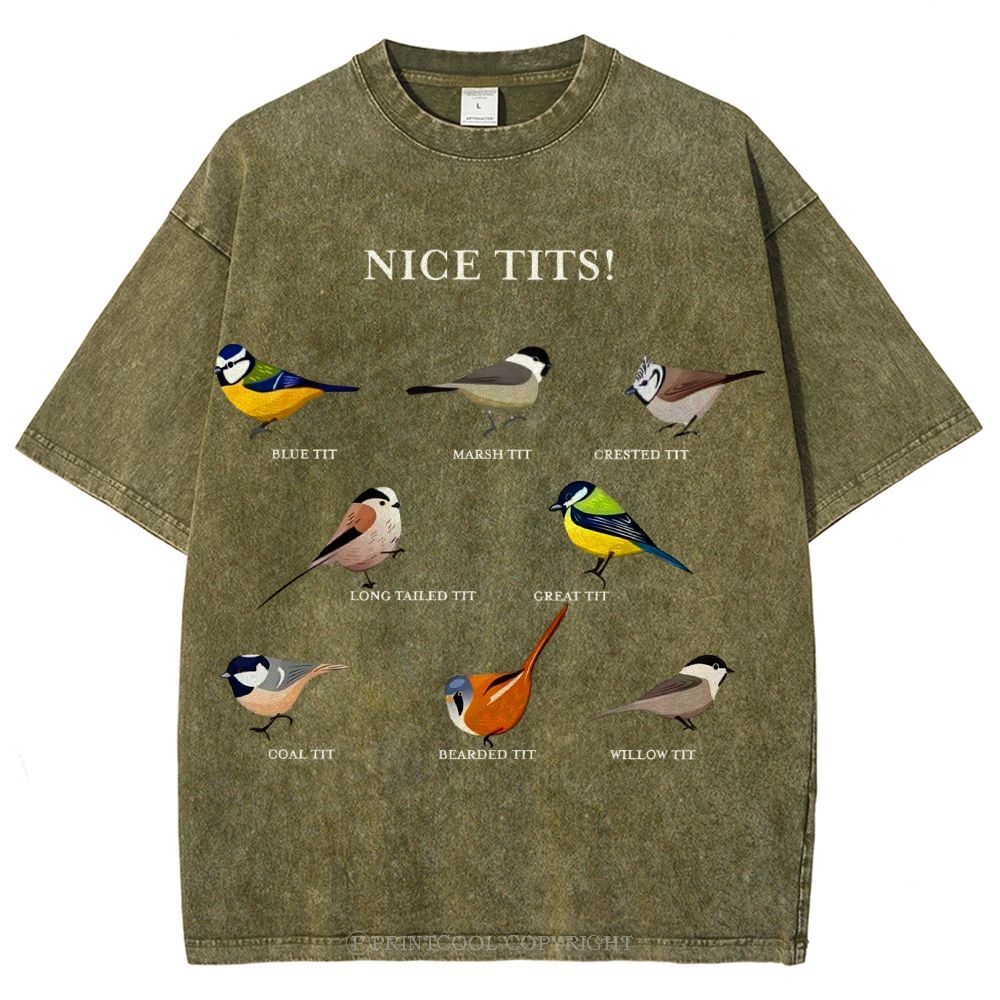 Nice Tits Unisex Vintage Washed Tee