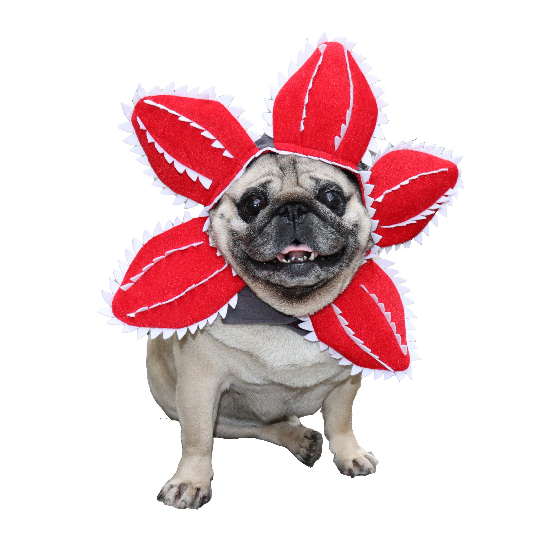 Stranger Things Funny dog and cat Demodog Flower headgear