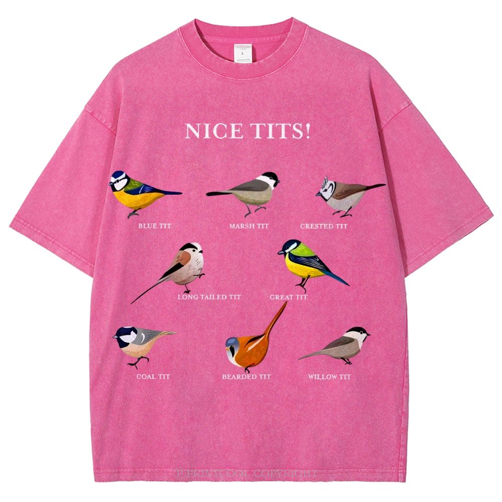 Nice Tits Unisex Vintage Washed Tee