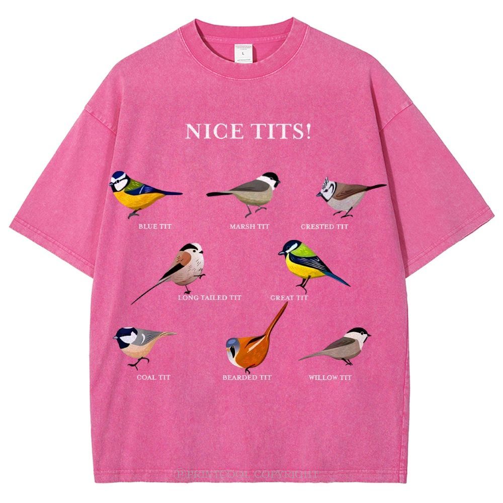 Nice Tits Unisex Vintage Washed Tee