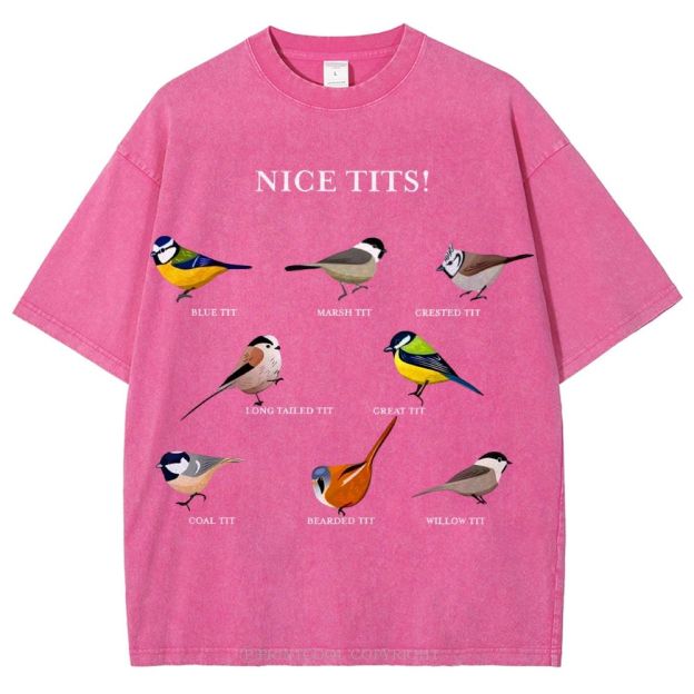 Nice Tits Unisex Vintage Washed Tee
