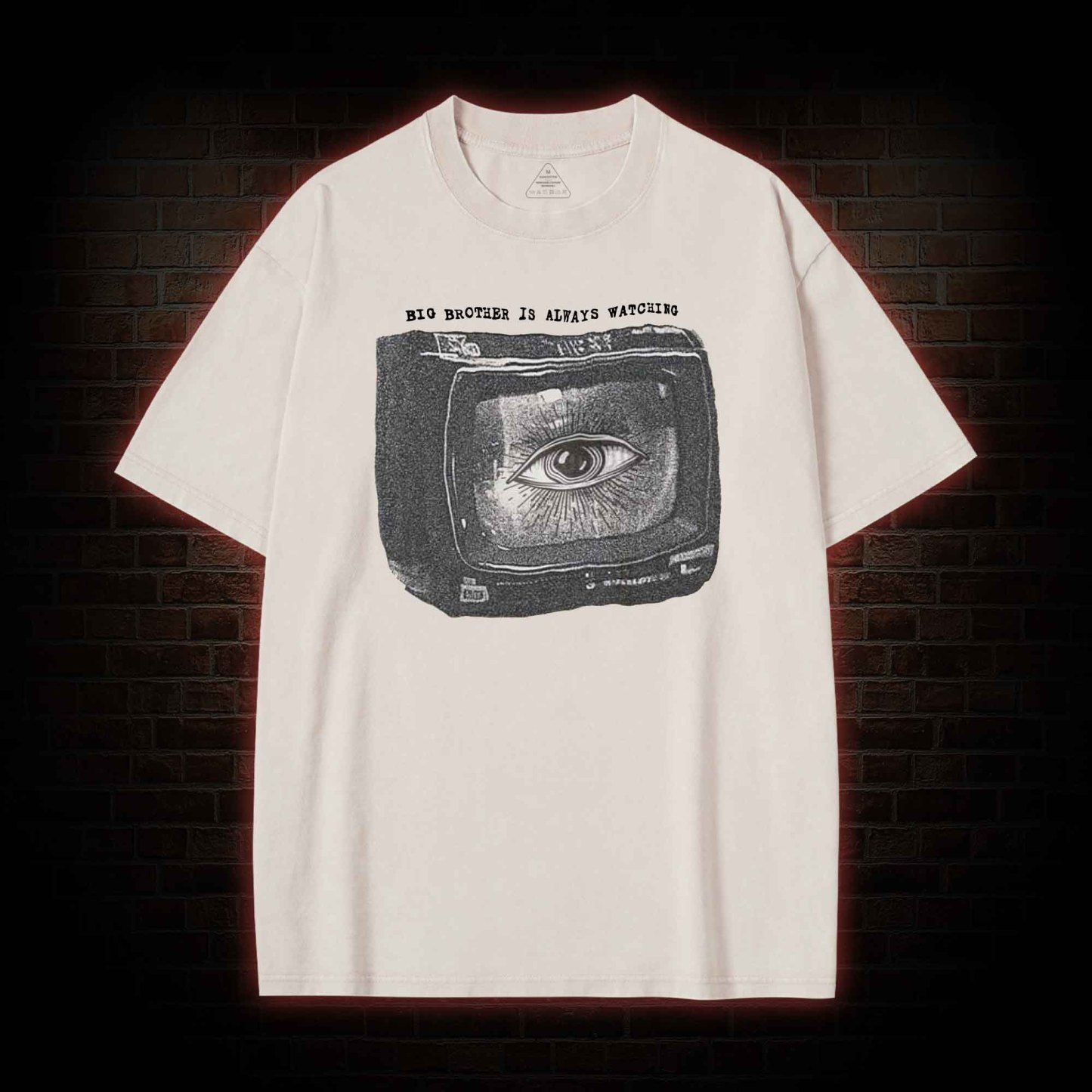 Big Brother is Always Watching Washed T-shirt