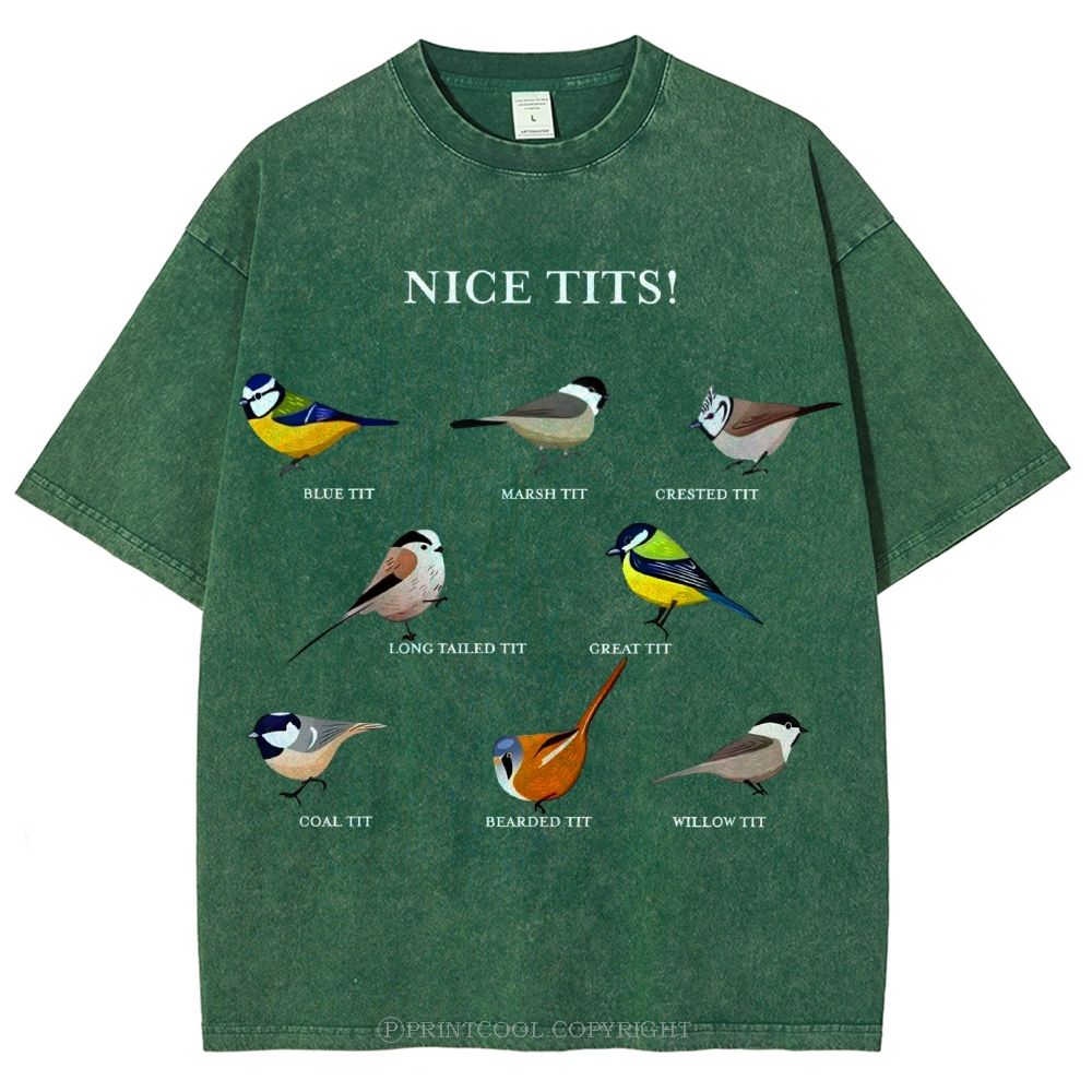 Nice Tits Unisex Vintage Washed Tee