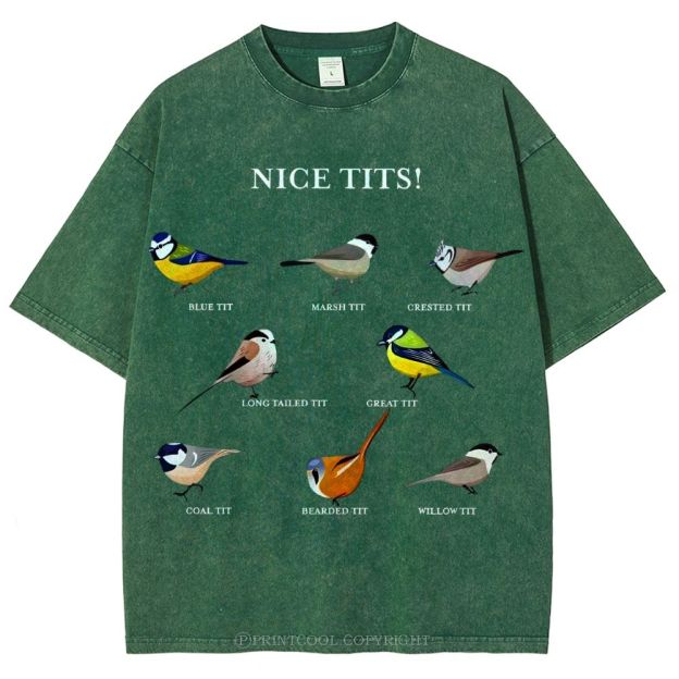 Nice Tits Unisex Vintage Washed Tee