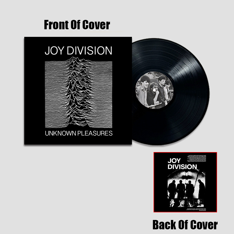 Joy Division Band Simulated Concert Record Vinyl Discs Decorate The Room Walls