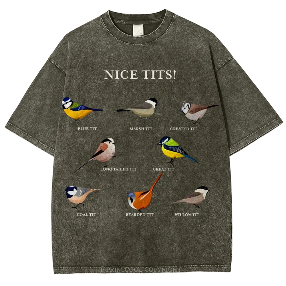 Nice Tits Unisex Vintage Washed Tee