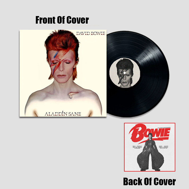 David Bowie Simulated Concert Record Vinyl Discs Decorate The Room Walls