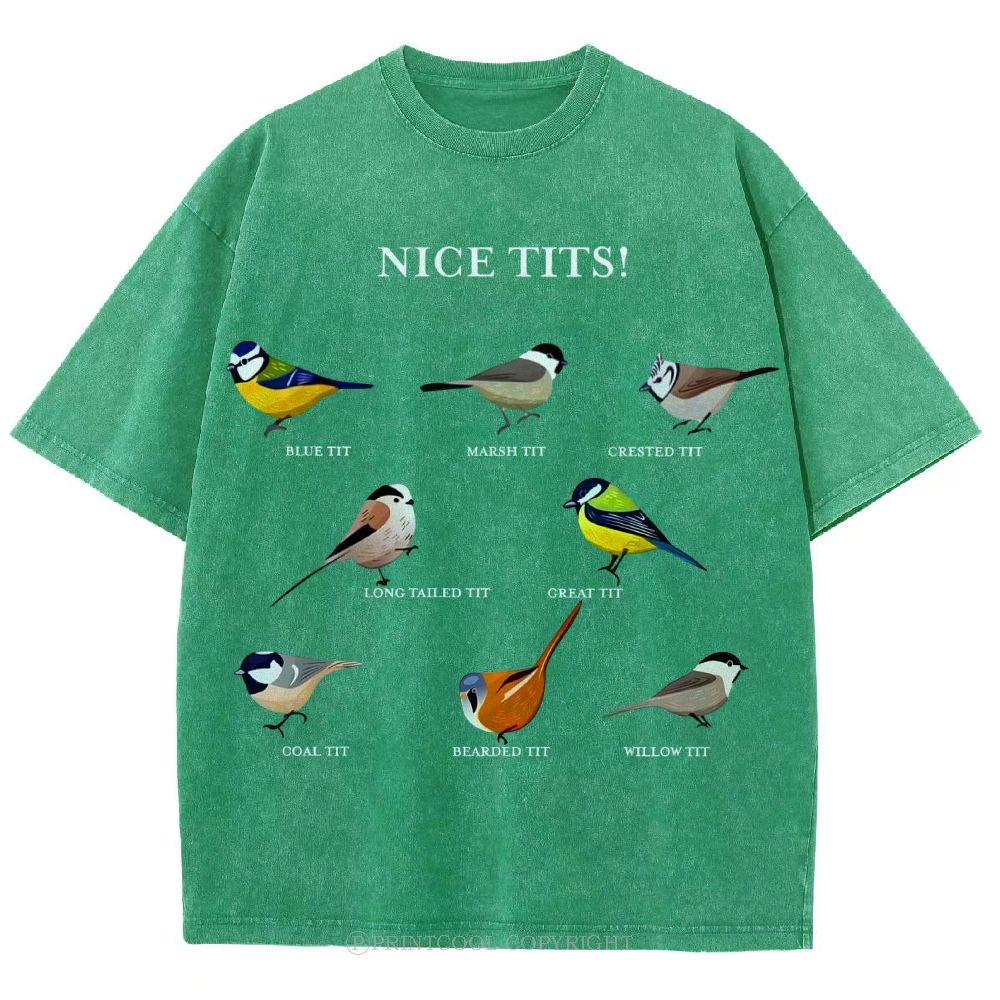 Nice Tits Unisex Vintage Washed Tee