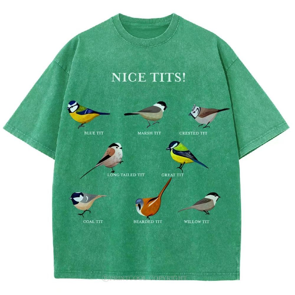 Nice Tits Unisex Vintage Washed Tee