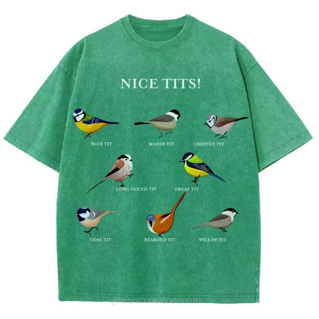Nice Tits Unisex Vintage Washed Tee