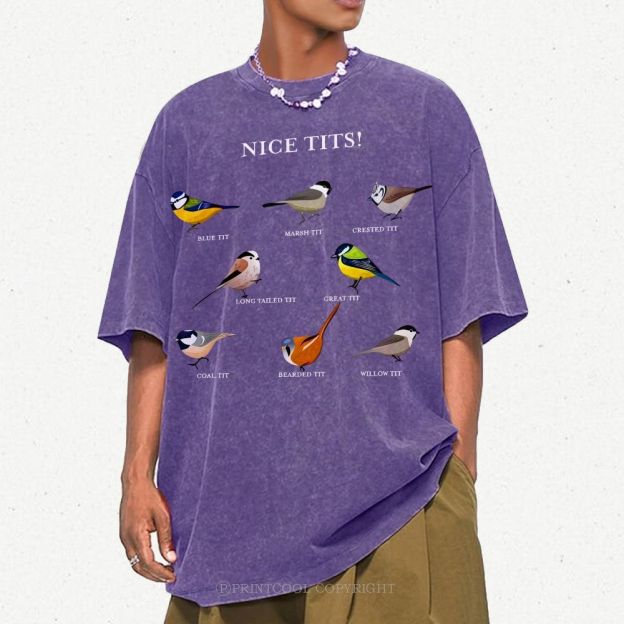 Nice Tits Unisex Vintage Washed Tee