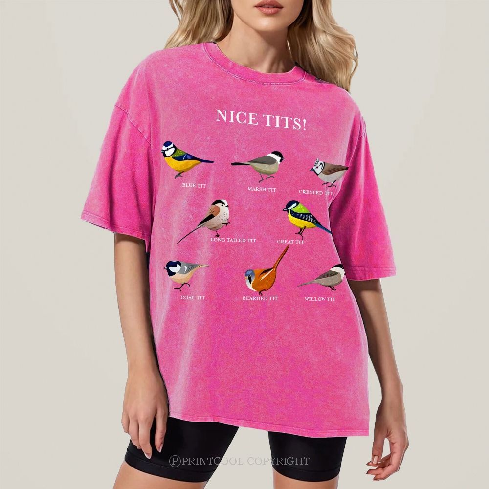 Nice Tits Unisex Vintage Washed Tee
