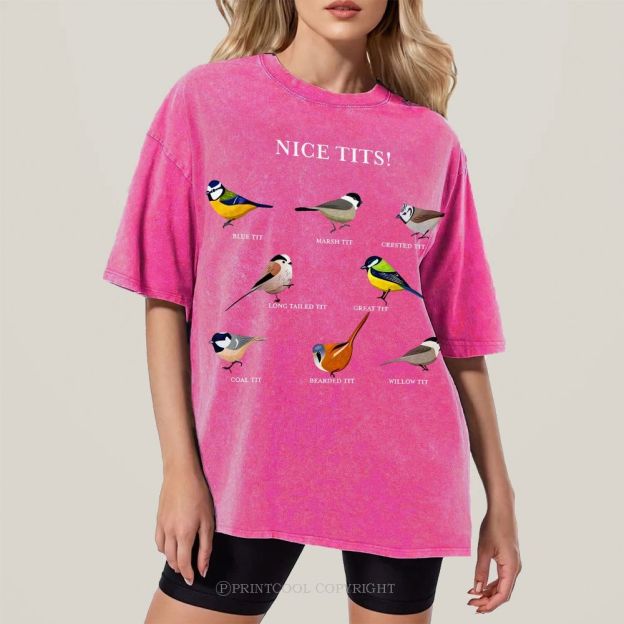 Nice Tits Unisex Vintage Washed Tee