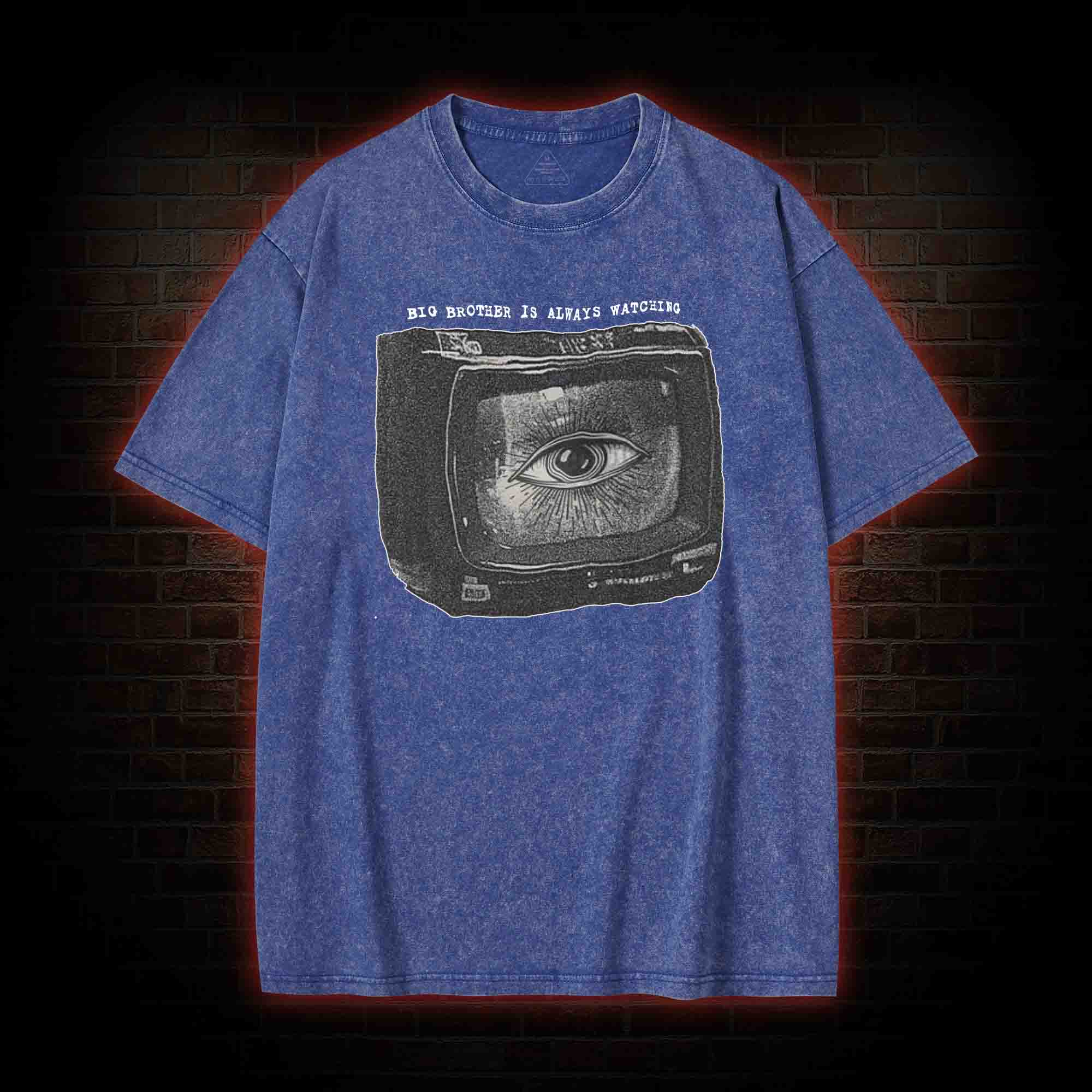 Big Brother is Always Watching Washed T-shirt