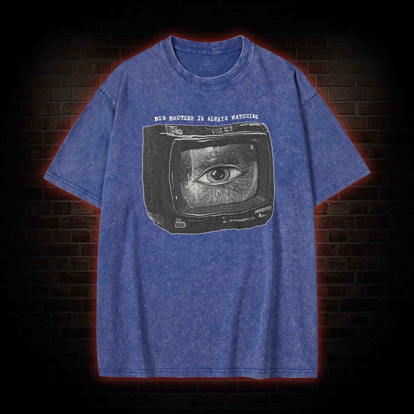 Big Brother is Always Watching Washed T-shirt