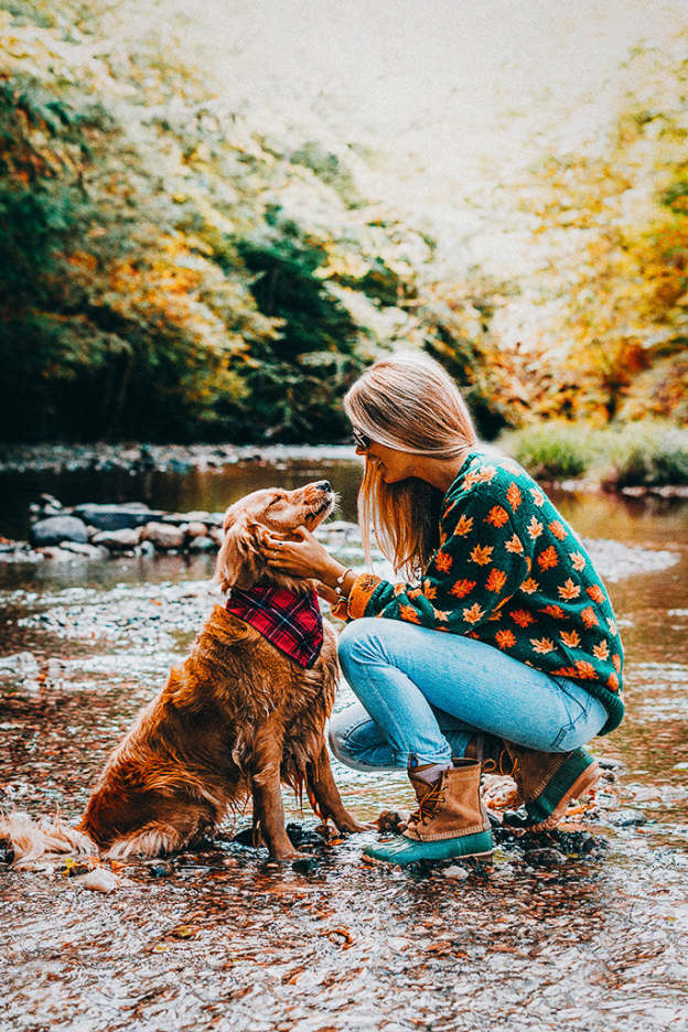 The Big Cozy Fall Leaf Sweater