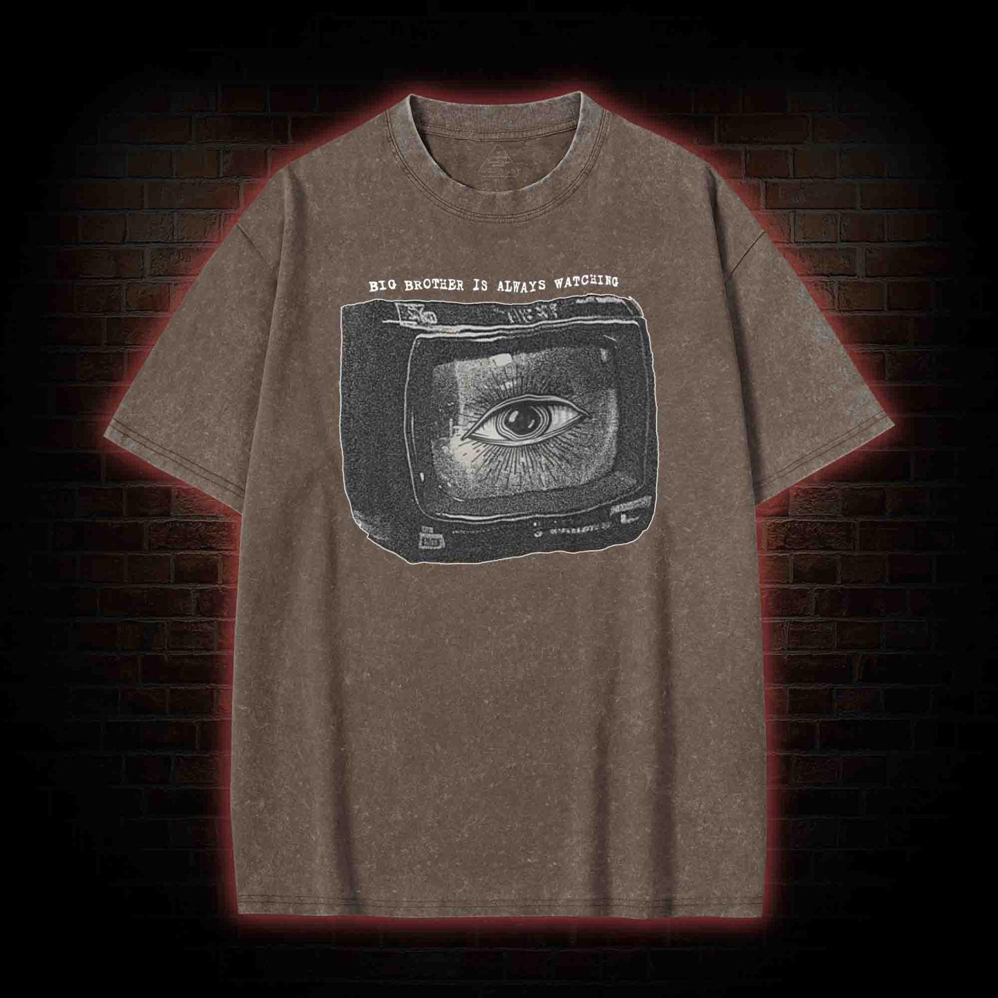 Big Brother is Always Watching Washed T-shirt