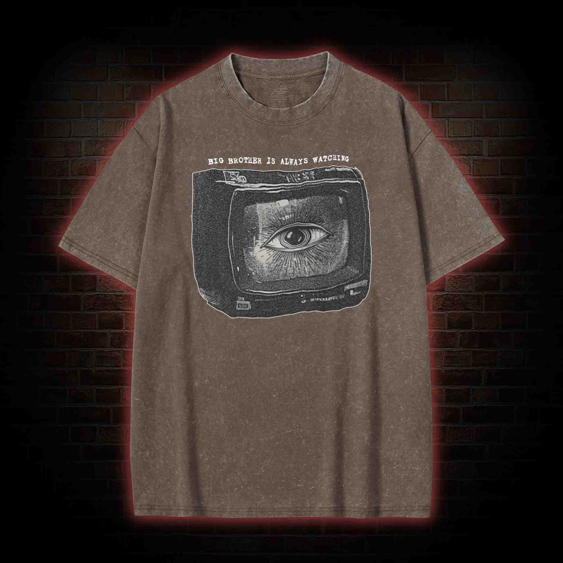 Big Brother is Always Watching Washed T-shirt