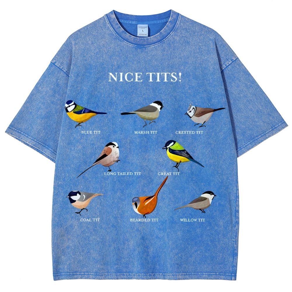 Nice Tits Unisex Vintage Washed Tee