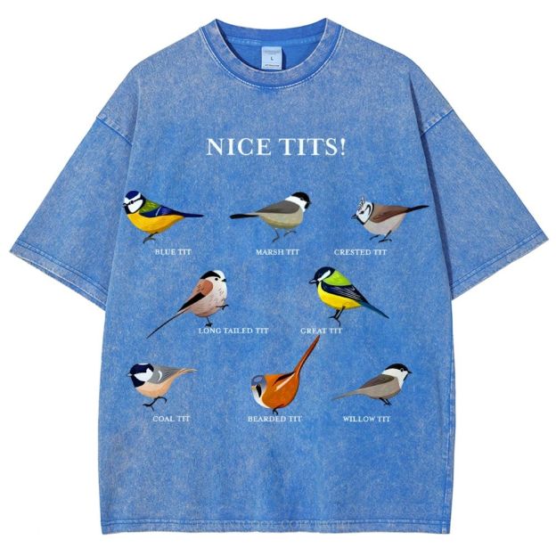 Nice Tits Unisex Vintage Washed Tee
