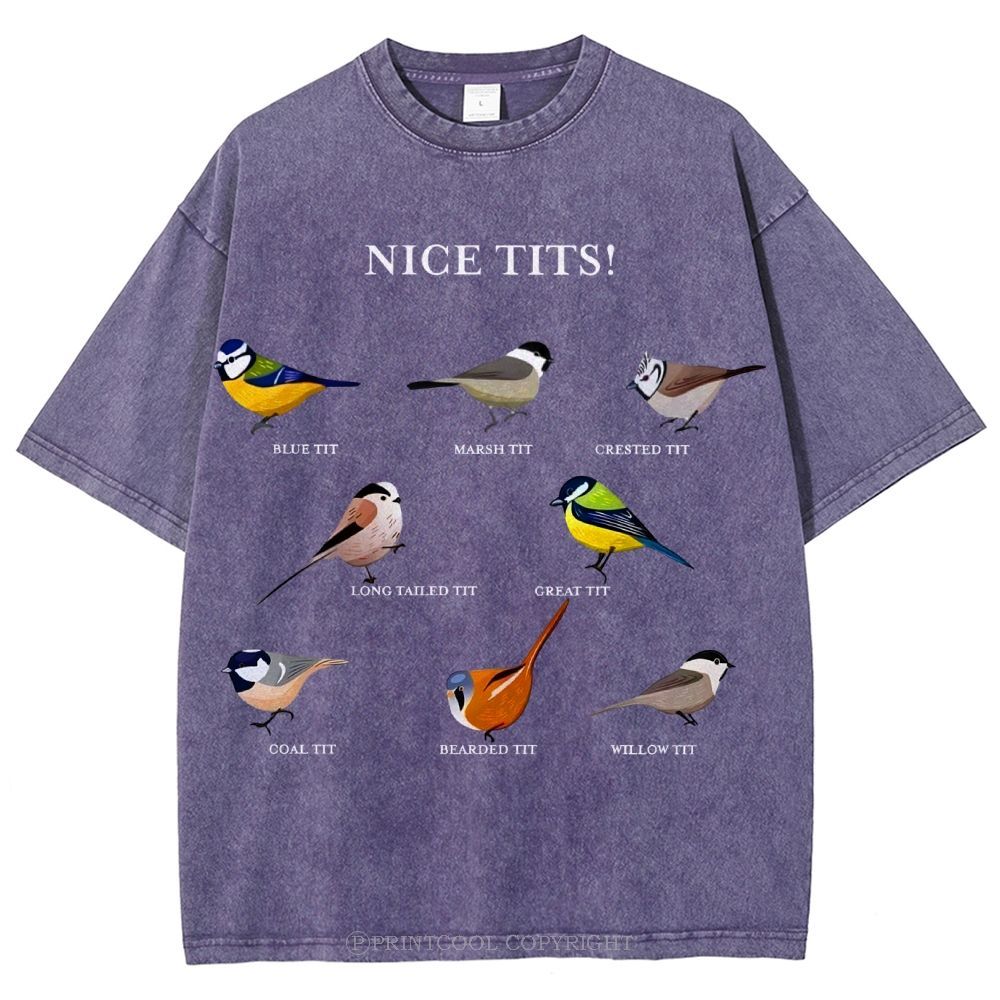 Nice Tits Unisex Vintage Washed Tee