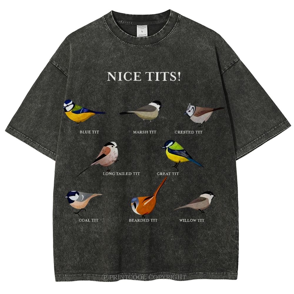 Nice Tits Unisex Vintage Washed Tee