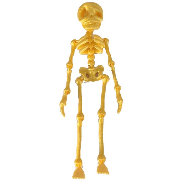 3D Printed Vintage Skeleton Magnetic Figurine 🎃