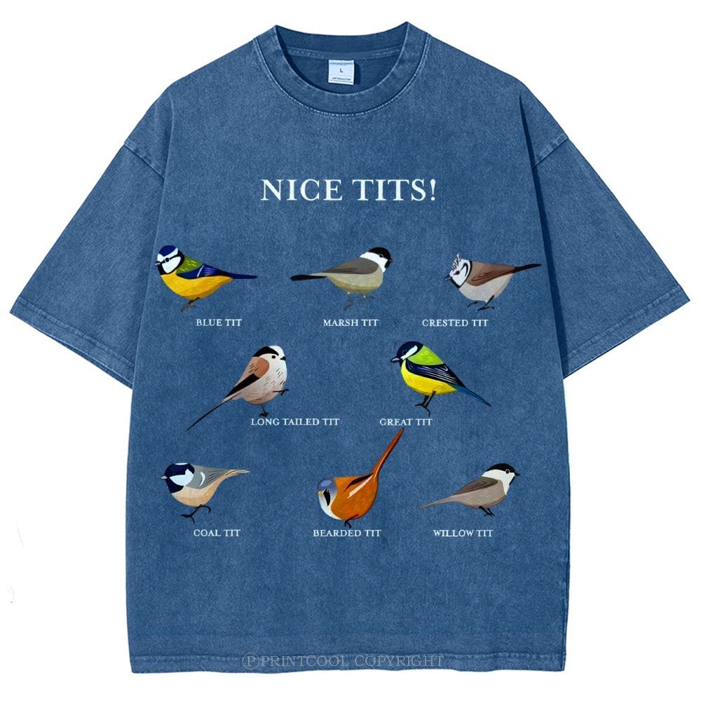 Nice Tits Unisex Vintage Washed Tee