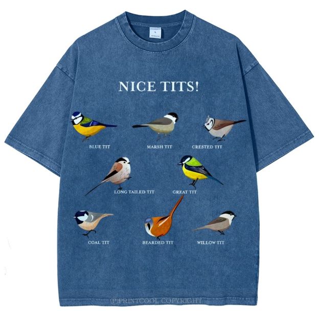 Nice Tits Unisex Vintage Washed Tee