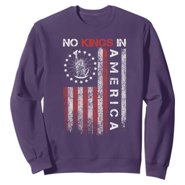 No Kings In America Sweatshirt Retro Freedom American Betsy Ross Flag TS02